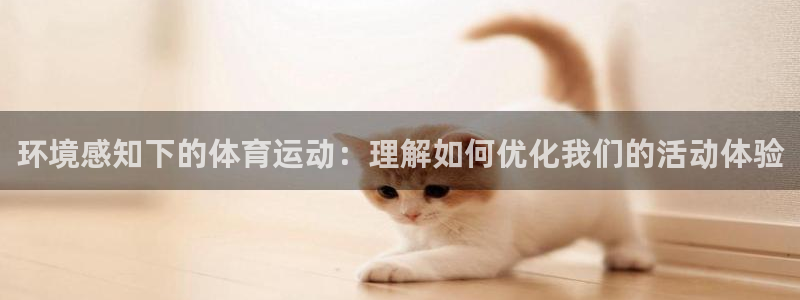 哈哈体育十年