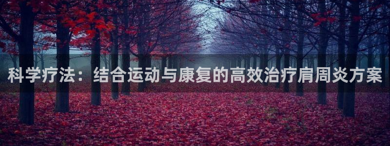 哈哈体育十年