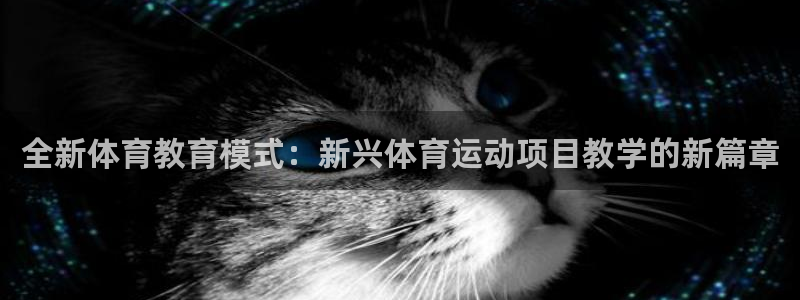 哈哈体育十年