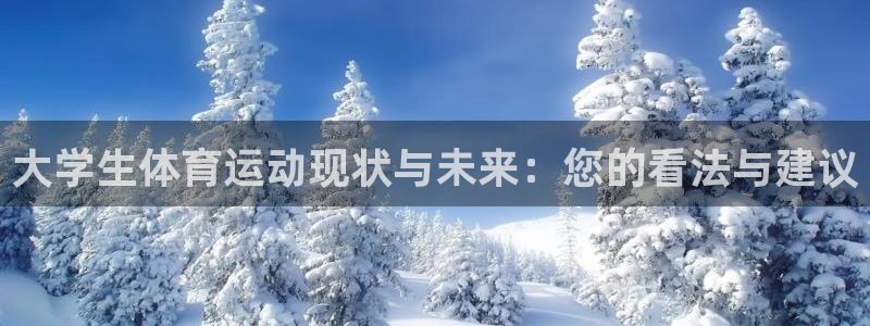 哈哈体育下载