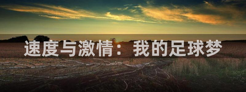 哈哈体育十年：速度与激情：我的足球梦
