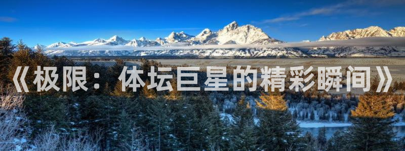 哈哈体育：《极限：体坛巨星的精彩瞬间》
