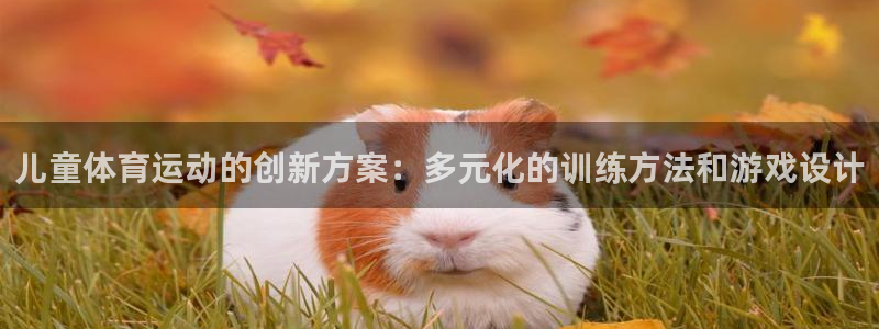 哈哈体育十年