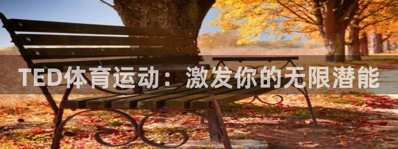 哈哈体育十年