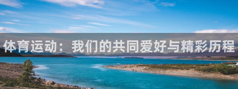 哈哈体育下载