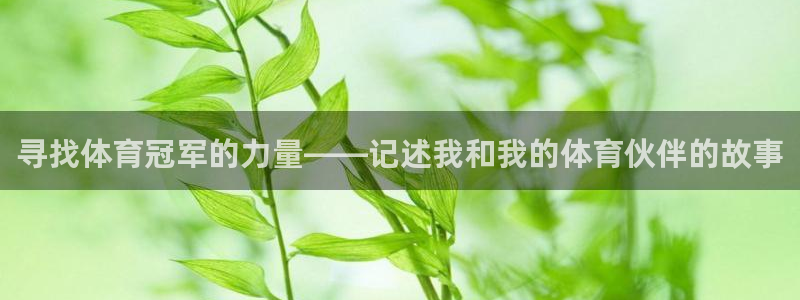 哈哈体育下载