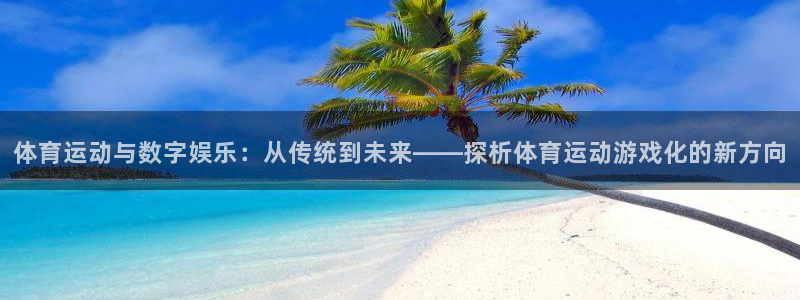 哈哈体育：体育运动与数字娱乐：从传统到未来——探析体育运动游戏化的新方向