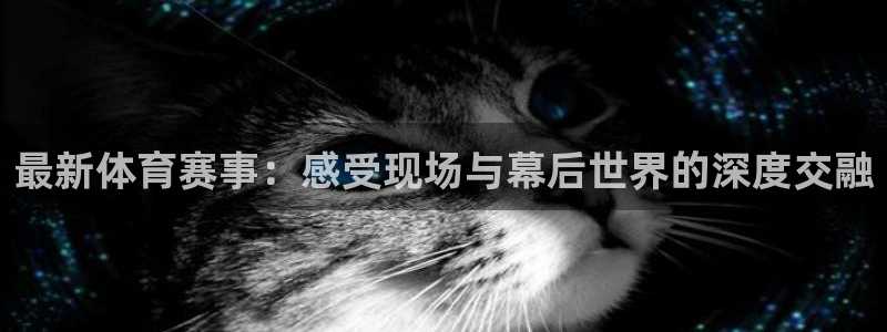 哈哈体育：最新体育赛事：感受现场与幕后世界的深度交融