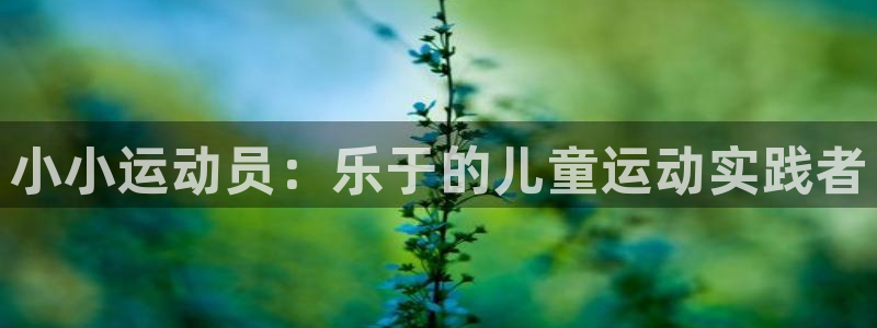 哈哈体育