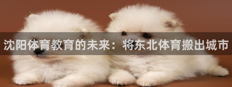 哈哈体育