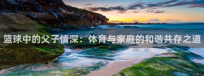 哈哈体育