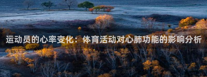 哈哈体育