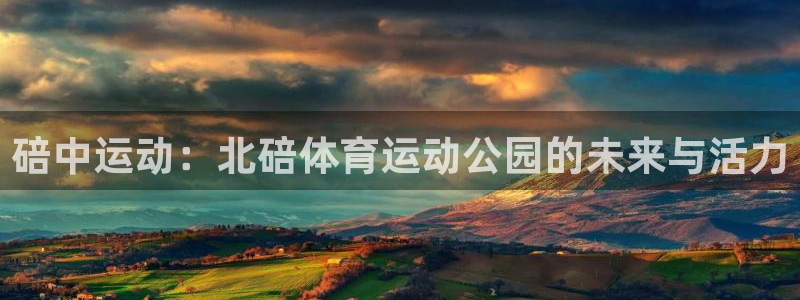 哈哈体育