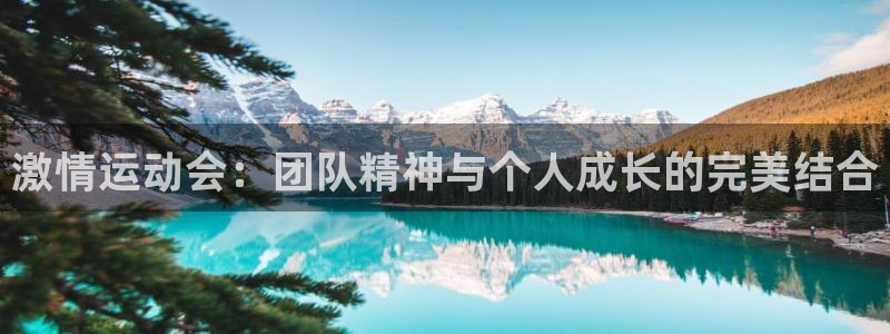 哈哈体育下载：激情运动会：团队精神与个人成长的完美结合