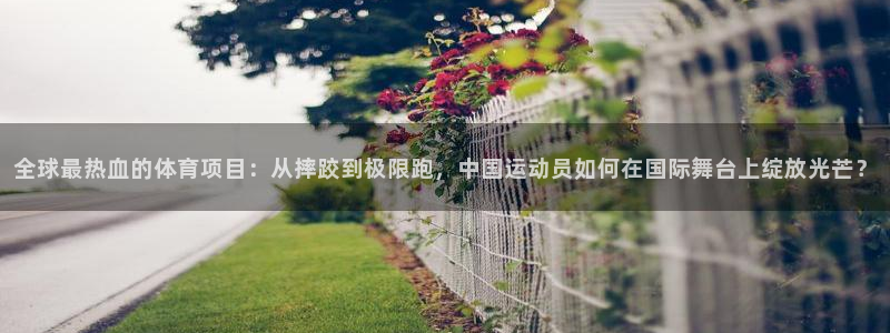 哈哈体育下载：全球最热血的体育项目：从摔跤到极限跑，中国运动员如何在国际舞台上绽放光芒？